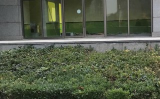 徐州英语培训机构哪里找靠谱？