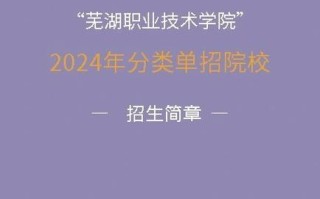 芜湖职业技术学院单招怎么报名？