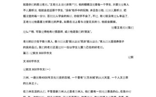 成功的作文议论文800字如何写？