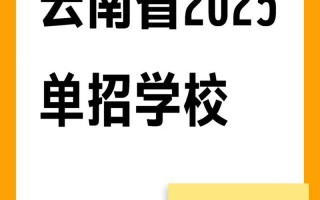 2025单招征平学校有哪些专业可选？