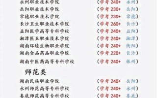 湖南单招学校全国排名如何？