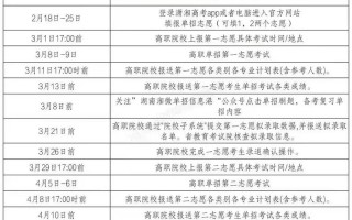 2025单招几号报志愿