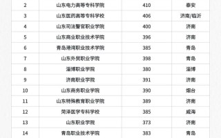 山东2025单招学院有哪些？