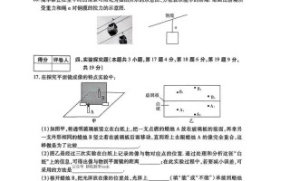 河南高考单招题2025