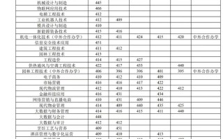 洛阳理工单招职业能力如何评估？