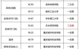 2025年单招大学项目