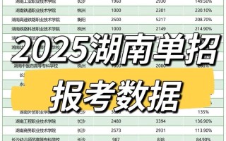2025湖南单招报名网址是什么？
