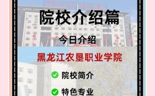 哈尔滨信息工程单招有哪些专业可选？