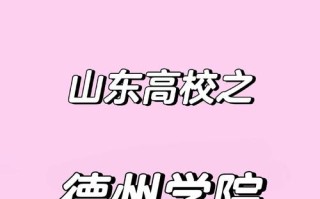 德州学院青岛分校单招怎么报？