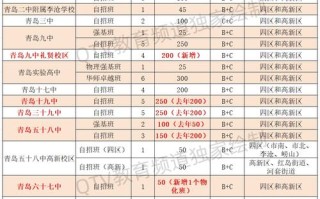 2025青岛单招学校有哪些？