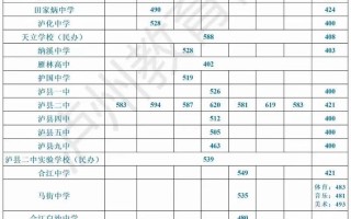泸州今年单招面试分数线多少？