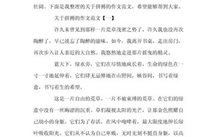 拼搏作文800字议论文，如何写好议论文中的拼搏主题？