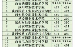 陕西2025单招有本科