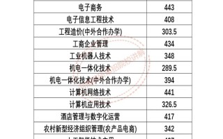 郑州信息科技职业学院单招怎么报？