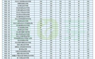 2025单招分数何时查？怎么查？