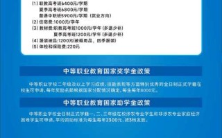 2025单招报名网站入口是什么？