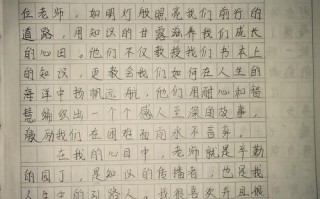 人生红绿灯，我们该如何从容应对？