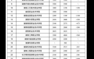 湖南2025单招信息网是什么？