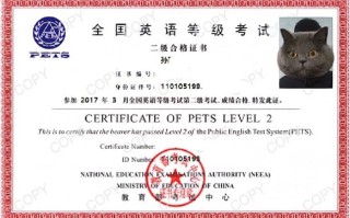 Pets4英语培训效果怎么样？