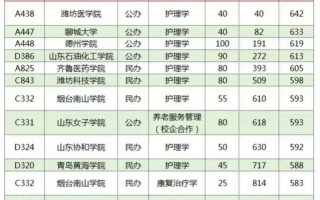 山东护理单考单招分数线