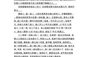 罗尔事件，爱心为何被消费？