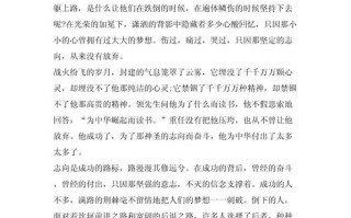 梦想是什么？我们该如何追寻它？