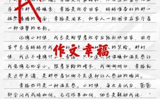 幸福究竟该如何定义？
