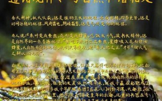 遵循自然规律，何为处世之道？