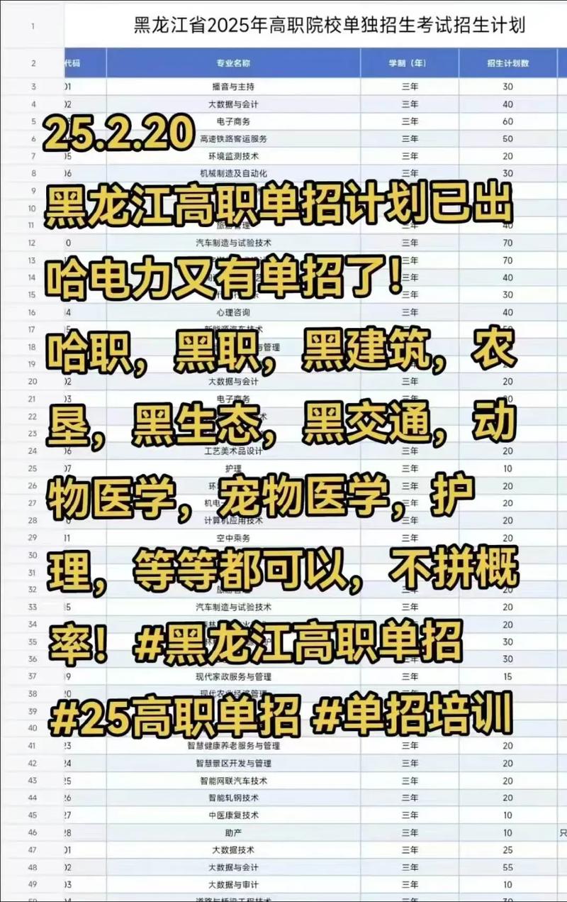 2025黑建筑单招规划怎么定？-第3张图片-厚德教育培训