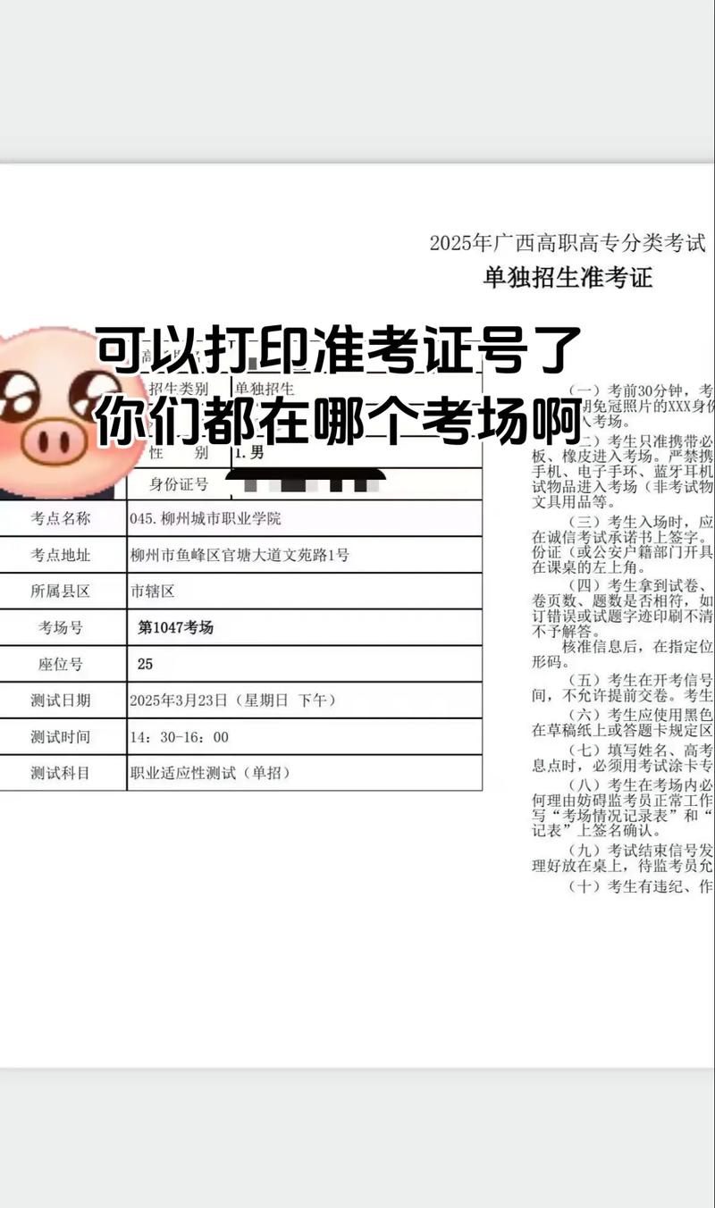 2025单招准考证丢了怎么补办？-第1张图片-厚德教育培训