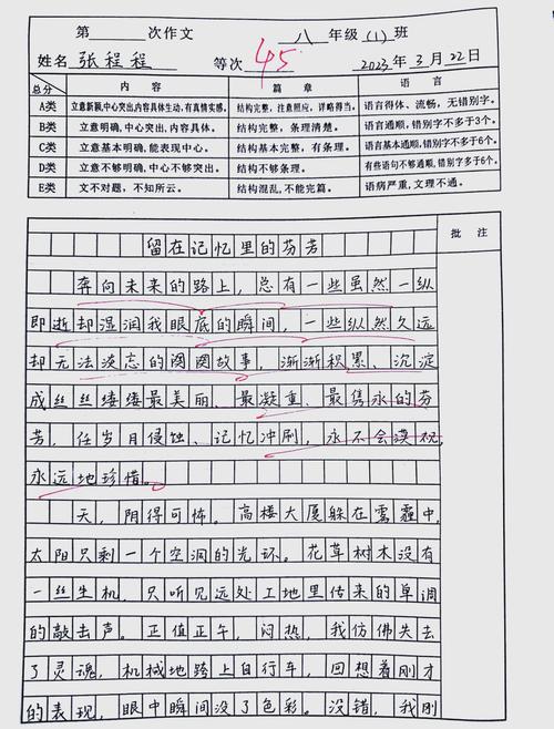 如何写好一篇800字的进步主题议论文？-第2张图片-厚德教育培训