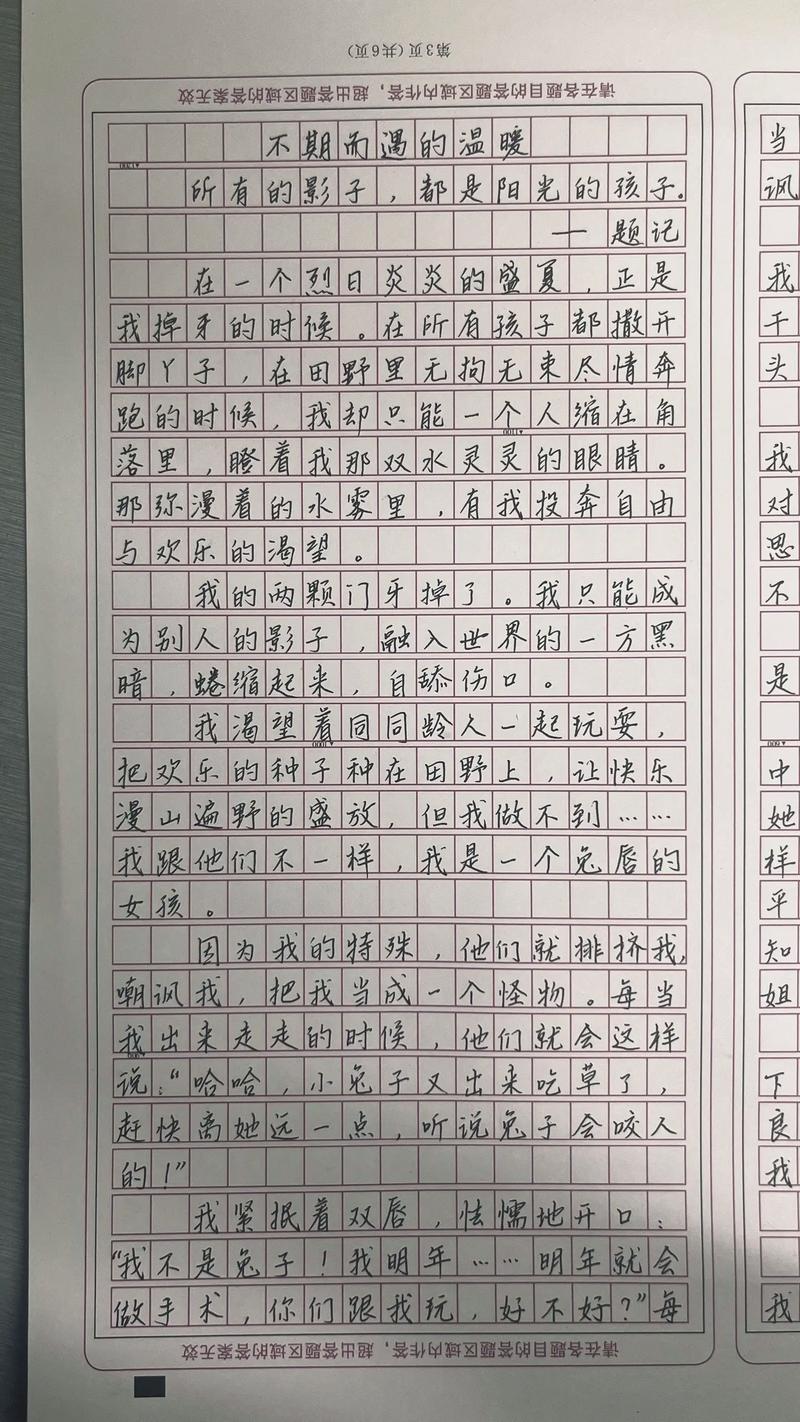 温暖是什么？议论文800字如何诠释？-第2张图片-厚德教育培训