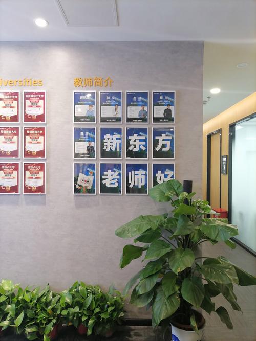 武汉新东方英语培训学校怎么样？-第2张图片-厚德教育培训