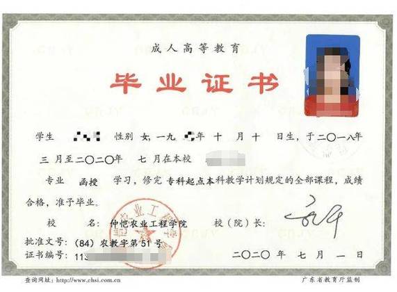 单招单考真能拿到本科文凭吗？-第2张图片-厚德教育培训