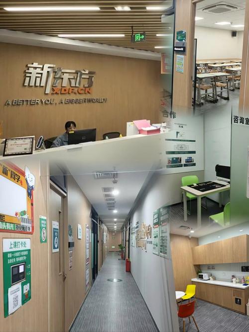 长沙新东方英语培训学校怎么样？-第3张图片-厚德教育培训