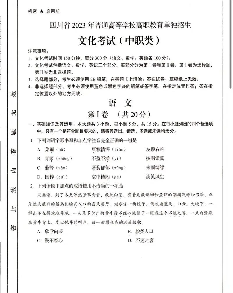 中职单招单考语文试卷有何特点？-第1张图片-厚德教育培训