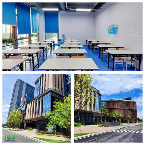 事业单位出国培训英语如何高效提升？-第1张图片-厚德教育培训