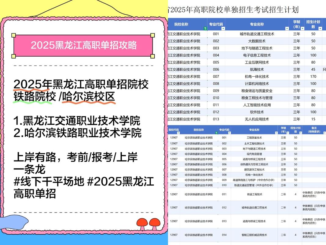2025哈尔滨单招学校有哪些？-第1张图片-厚德教育培训