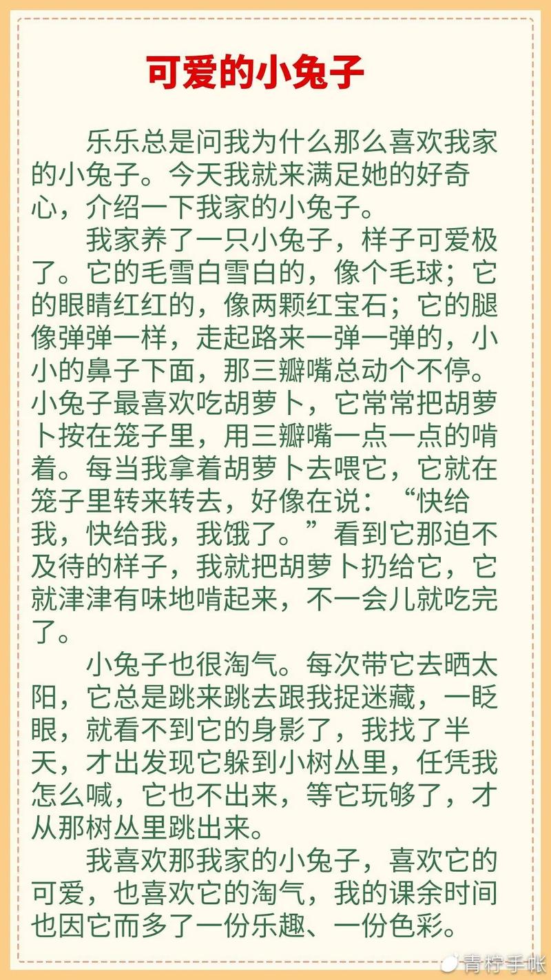 小兔钓鱼，智慧与耐心的较量？-第2张图片-厚德教育培训