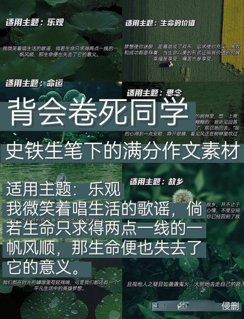 史铁生议论文素材,如何用苦难书写生命价值?-第3张图片-厚德教育培训 史铁生议论文素材,如何用苦难书写生命价值?-第3张图片-厚德教育培训