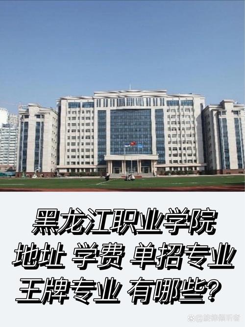 黑龙江职业技术学院单招怎么报？-第1张图片-厚德教育培训