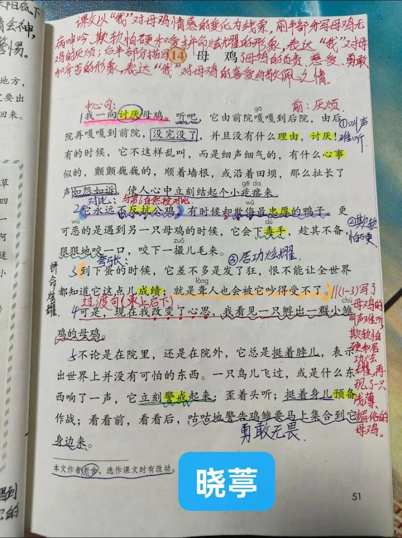 小鸡问母鸡，问题背后藏着什么？-第2张图片-厚德教育培训