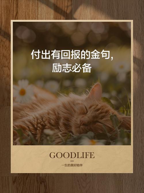 付出才有收获 议论文-第3张图片-厚德教育培训 付出才有收获 议论文-第3张图片-厚德教育培训