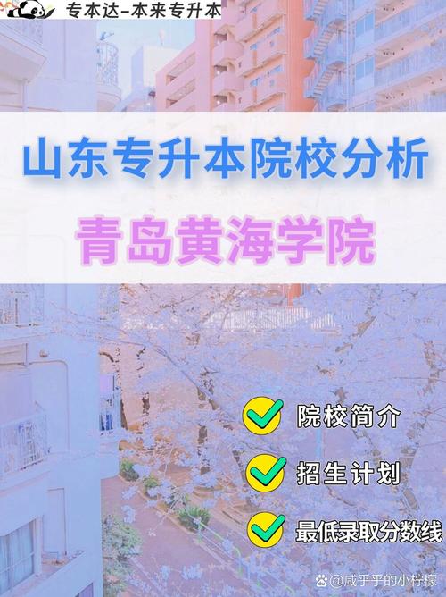 青岛黄海学院单招分数线多少？-第2张图片-厚德教育培训